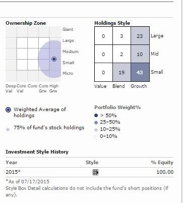 Figure 2 – Morningstar portfolio allocation with respect to market capitalization