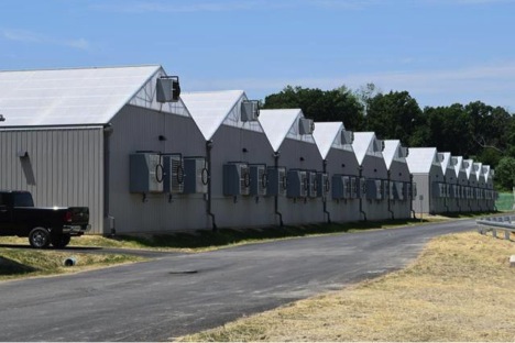 IIPR cannabis cultivation facilities